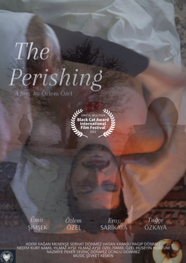 The Perishing-Poster